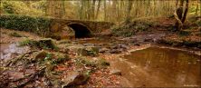 wepre park north walesnov 2011.jpg